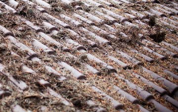 Bartlow roof cleaning companies